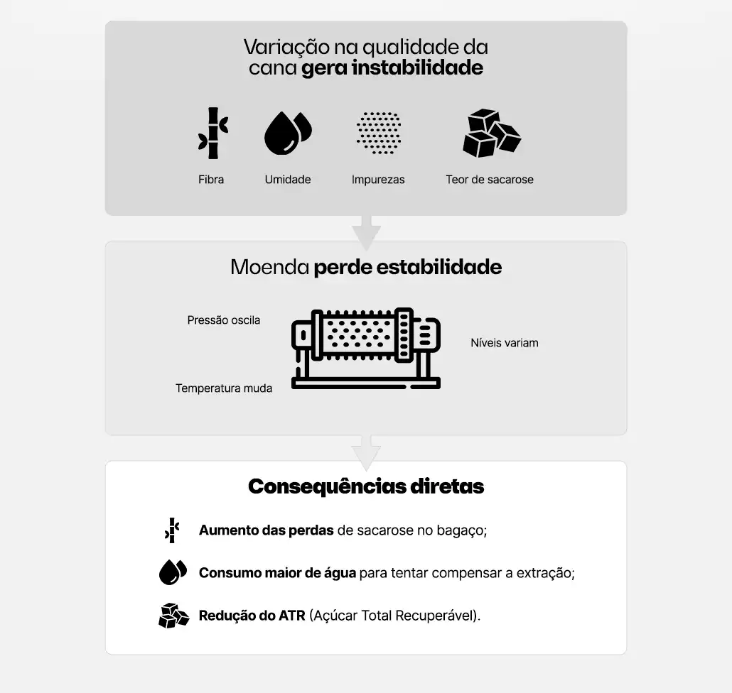 Variação na qualidade da cana